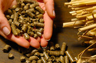 free Soldridge biomass boiler quotes